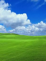 Aug 11, 2014 · nokia 130 dual sim phone. Windows Xp Nokia Phone Wallpaper 240x320 Retdfgddgv Flickr