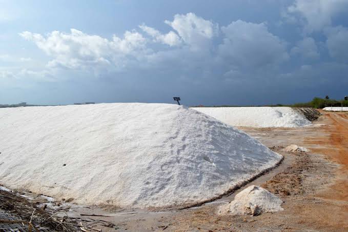 Hambantota salt flats flamingos south coast Sri Lanka