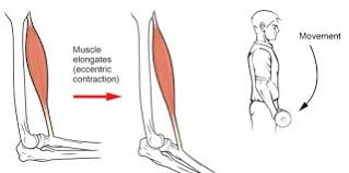 Bandar baru bangi (literally translated from malay to english as new city of bangi) is a township situated in hulu langat district, in southeastern selangor, malaysia. Homeopathy Integrasi 2019 02 03