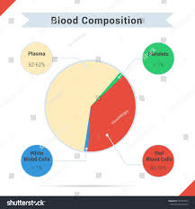 Infographics Blood Composition Chart Four Components Stock