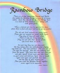 Monday, we join hands, hearts and souls across the land as one large extended family to pray for our sick and dying pets and to pay tribute to our furbabies who have gone ahead to rainbow bridge. Pet Loss Grief Support Winslow Animal Hospital Your Animal Hospital In Sicklerville New Jersey