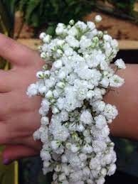 White Baby S Breath Gypsophila Is The Only Floral In This Gorgeous Wristlet Babys Breath Corsage Wedding Rainbow Wedding