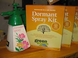 Spray on plants, including underside of leaves, and be sure to wash any fruit caught in the spray thoroughly before eating. Huntersgardencentre Com Fruit Trees