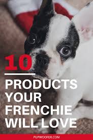 Our french bulldog rescue is very limited as most people prefer to try and sell their frenchies to make a buck. Top 10 Best Products For French Bulldogs Pup Talk French Bulldog Puppies French Bulldog Funny French Bulldog Clothes
