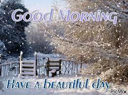 72 brilliant good morning bird pictures. Good Morning Have Abeautiful Day Gif Goodmorning Haveabeautifulday Morningsnow Discover Share Gifs