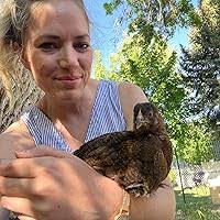 Sparrow Lake by Carol Beach York