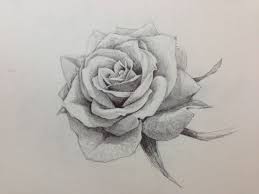 Disegni Facili Da Disegnare A Mano Libera Disegno Di Una Rosa Disegno Di Una Rosa Disegni A Mano Disegni Di Tatuaggio