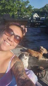 Lost Cat in Black Rock, Buffalo