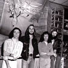 Image result for Dark Harvest Gold 1977 Fedders