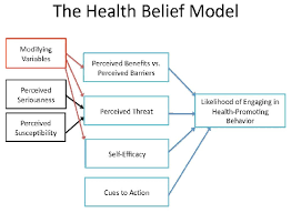 The Health Belief Model By Rosenstock Strecher And Becker 1988 Download Scientific Diagram