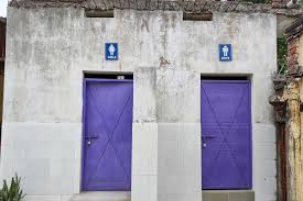 26% of court complexes don't have separate ladies' toilets: Govt tells  Parliament