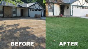 I will definitely give it a through soaking after it is planted. Total Lawn Restoration Killing Your Yard And Starting Over Grass Pad