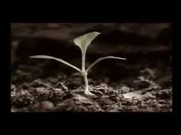 Von 450 lupuspatienten genasen 99. Die Gerson Therapie Eine Heilsame Ernahrung Gegen Krebs Und Andere Schwere Krankheiten Informationen Und Inspiration Gerson Therapie Therapie Heilung