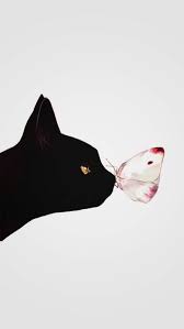 Pin By Raphaelle Dalpez On Fondos De Pantalla De Gatos Kitten Drawing Cat Art Cat Wallpaper