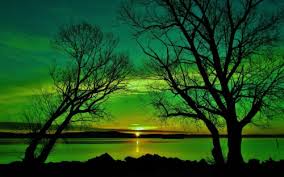 Choose from hundreds of free nature wallpapers. 3d Nature Wallpaper Hd 1080p Free Download New Images Of Nature 3450 Hd Wallpaper Backgrounds Download