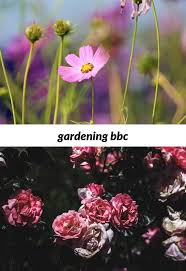 Gardening Bbc 106 20180915172939 53 Garden Services In Kings Lynn National Gardening Associat Organic Gardening Tips Garden Services Garden Planter Boxes