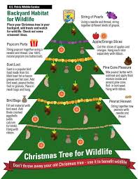 Place the star on top of the christmas tree with a wooden toothpick. Recycling Christmas Trees For Wildlife By U S Fish And Wildlife Service Updates From The U S Fish And Wildlife Service Medium
