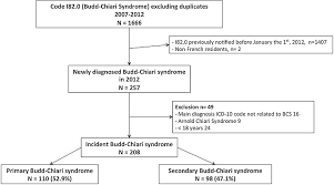 The Epidemiology Of Budd Chiari Syndrome In France Digestive And Liver Disease