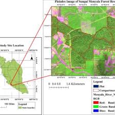 One of the best forest. Pdf Tree Species Richness Diversity And Distribution At Sungai Menyala Forest Reserve Negeri Sembilan
