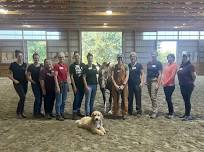Circleville, NY: Beyond Horse Massage Weekend...