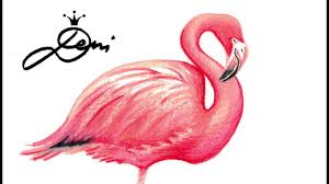 Hochwertige gerahmte kunstdrucke zum thema vogel von unabhängigen künstlern und designern aus aller welt. Flamingo Drawing How To Draw A Flamingo Malen Zeichnen Flamingo Zeichnung Flamingo Risunka Youtube