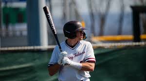 Falcon Baseball Notebook: 2020 Senior Salute