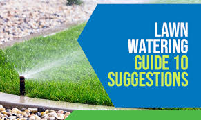Due to the severe drought, we recommend people cut one watering per week to help extend the water supply. Lawn Watering Guide 10 Suggestions Green Valley Irrigation