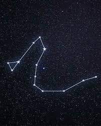 We did not find results for: Draco The Dragon Constellation
