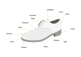 Anatomia Del Zapato Seampedia Sobre La Industria Moda