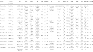 Image result for Diospyros mweroensis