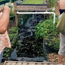 How to increase the potassium in aquaponics? Aquaponics In A Natural Pond Mother Earth News