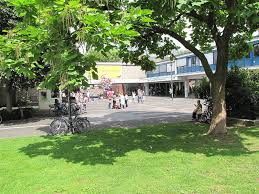 Pinguintunnel, elefantenhaus und menschenaffenhaus geöffnet. Mit Dem Rheintaler Schlosser Und Burgen Das Weltkulturerbe Mittelrhein Und Romantik Am Rhein Erleben