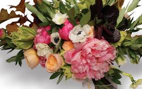Unfortunately they started wilting 2 days ago, and so i called winston's today to let them know. The Best Florist In Boston