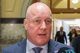 Family of Leigh Wallace speak outside court