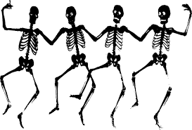 Image result for free pics of human bones
