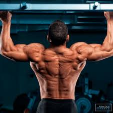 Check spelling or type a new query. Pull Up Vs Pull Down Mana Yang Lebih Baik Thefamousfitnessplan Com