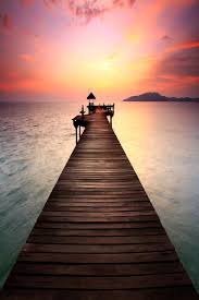 1177x942 forests forest night trees nature sky hd 3d live wallpaper. Nature Live Wallpapers 3d Hd Touch For Android Apk Download