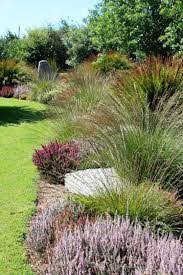 Indigenous Urgan Gardens South Africa Google Search Garden Ideas South Africa Water Wise Landscaping Waterwise Garden