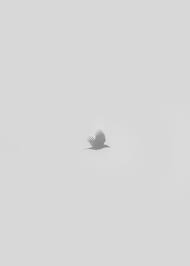 Colorful Birds Flying In The Sky Gif Https Encrypted Tbn0 Gstatic Com Images Q Tbn 3aand9gcrse8qt1kwkdinfzvvkiae4lgar54e9g9tyug Usqp Cau