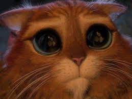 Shrek cat 20 years /20 летний кот из шрека. Pin On Things That I Love