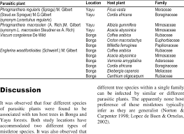 Image result for Viscum congolense