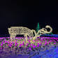Winter Wonders @ Sandy Hill Farm 2025 event image