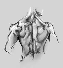 Intermediate layer of back muscles. Doodles Back Muscles Skeletal Landmarks Shoulder