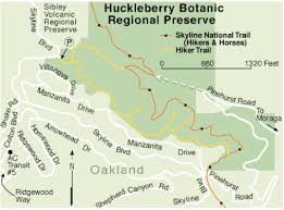 Huckleberry botanic regional preserve is off skyline boulevard in oakland. Huckleberry Loop From Canyon The Undiscovered Hikes Of Lamorinda