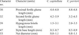 Image result for Asterochaete angustissima