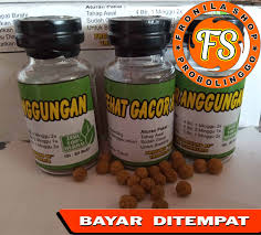 Cukup dengan perawatan yang simple dan dilakukan secara rutin burung perkutut anda dipastikan lebih sering berbunyi. Jual Jamu Gacor Manggung Terbaru Lazada Co Id