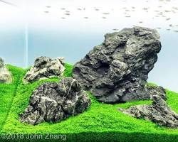 Imagem de Iwagumi Aquarium Aquascaping Style