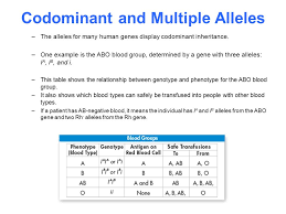 We did not find results for: 14 1 Human Chromosomes Key Questions 1 What Is A Karyotype 2 What Patterns Of Inheritance Do Human Traits Follow 3 How Can Pedigrees Be Used To Analyze Ppt Download