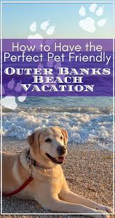 How To Have The Perfect Pet Friendly Outer Banks Beach Vacation Outer Banks Beach Vacation Outer Banks Beach Camping In North Carolina