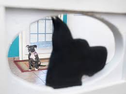 Pet resource center of kansas city | affordable pet services. Pensacola Humane Society Starts Pet Resource Center To Help Struggling Owners